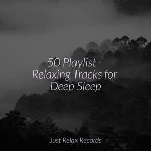 50 Playlist - Relaxing Tracks for Deep Sleep - Sleep Music Lullabies