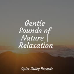 Gentle Sounds of Nature | Relaxation - The Relaxation Principle
