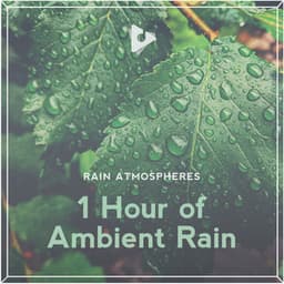1 Hour of Ambient Rain - Rain Atmospheres