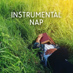 Instrumental Nap: Heavenly Melody, Magical Snooze - End Restless Sleep