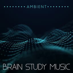 Ambient Brain Study Music: Relaxing New Age Focus Sounds in the Background for Work and Studying - Brain Study Music Guys