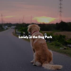 Lonely in the Dog Park - Feel Good Jazz