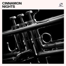 Cinnamon Nights - Smooth Jazz