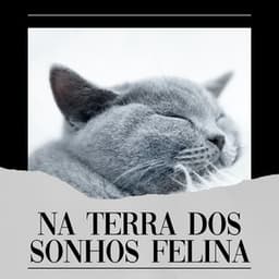 Na Terra Dos Sonhos Felina - Musica para Gatos