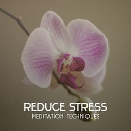Reduce Stress – Meditation Techniques, Healing Music to Improve Your Mood, Clear Relaxation Sounds - Deep Meditation Music System