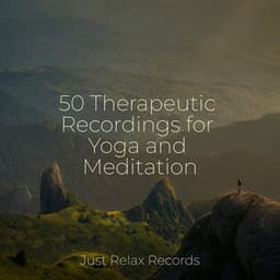 50 Therapeutic Recordings for Yoga and Meditation - Music For Absolute Sleep