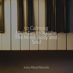 50 Calming Melodies to Soothe The Mind, Body and Soul - Ivory Mood