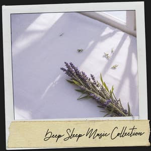 Spa Sleep Music: Serenity's Lullaby - Música Relajante Para Leer