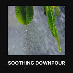 Soothing Downpour - The Sound Of The Rain