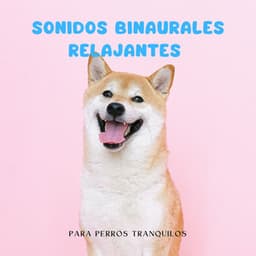Armonía De La Naturaleza: Sonidos Binaurales Relajantes Para Perros Tranquilos - Latidos Binaurales Puros