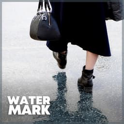 Watermark - Pro Sound Effects Library