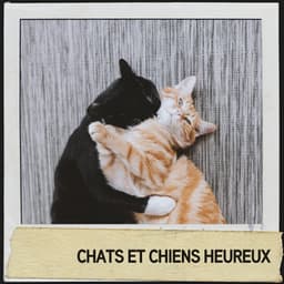 Chats et chiens heureux :sons relaxants pour les amis à fourrure - Relajacion