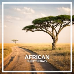 African Sleep Therapy: Calming Sleep Drumming - Bedtime Stories Unit