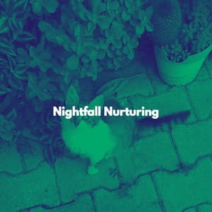 Nightfall Nurturing - Cat Music Relaxation