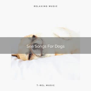 Sea Songs For Dogs - Pets Relax