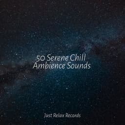 50 Serene Chill Ambience Sounds - Shakuhachi Sakano