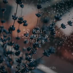50 Rain Sounds & Relax - Yoga Sounds