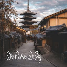 Dias Contados De Paz - Música Zen Relaxante