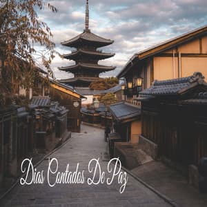 Dias Contados De Paz - Música Zen Relaxante