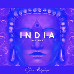 India Del Mar: Exotic Buddha, Oriental Vibes of India - Shiva Mantrya