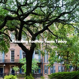 Relaxing Rooftop Tunes Today - Office Music Experts