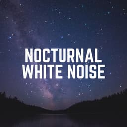 Nocturnal White Noise - Loopable White Noise