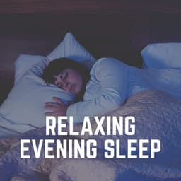 Relaxing Evening Sleep - The Sleep Principle