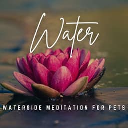 Music for Pet Zen: Gentle Water Reflections - Majestic Waters