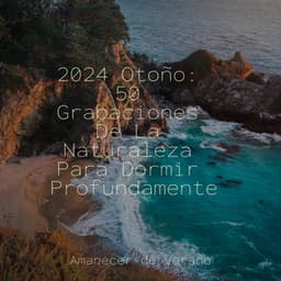 2024 Otoño: 50 Grabaciones De La Naturaleza Para Dormir Profundamente - Dulces Sueños