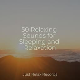 50 Relaxing Sounds for Sleeping and Relaxation - Lullaby Land