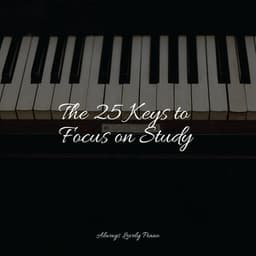 The 25 Keys to Focus on Study - Piano Therapy Sessions