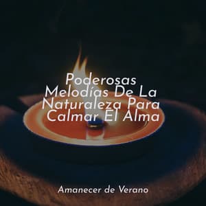 Poderosas Melodías De La Naturaleza Para Calmar El Alma - Children's Music