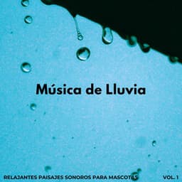 Música De Lluvia: Relajantes Paisajes Sonoros Para Mascotas Vol. 1 - Experiencia de sonido de lluvia