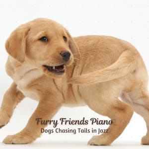 Furry Friends Piano: Dogs Chasing Tails in Jazz - Classy Piano Jazz Background