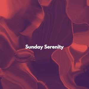 Sunday Serenity - Musica Rilassante & Benessere