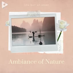 Ambiance of Nature - Spa Day At Home