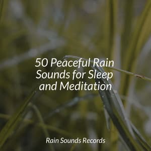 50 Peaceful Rain Sounds for Sleep and Meditation - Spa
