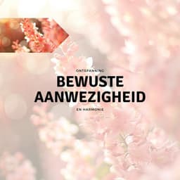 Bewuste Aanwezigheid - Ontspanning en Harmonie