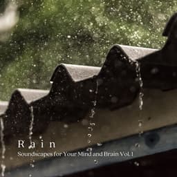Rain: Soundscapes for Your Mind and Brain Vol. 1 - Natures Acoustics