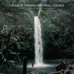 1 Hour of Evening Waterfall Sounds - Ambient Forest