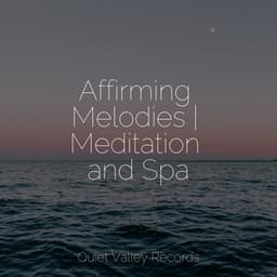 Affirming Melodies | Meditation and Spa - Sleep Songs 101