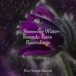 50 Stunning Water Sounds: Rain Recordings - Anxiety Relief