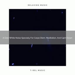 A Cool White Noise Specially For Carpe Diem, Meditation, And Calm Down - Be Relaxed White Noise