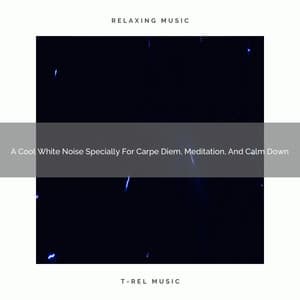A Cool White Noise Specially For Carpe Diem, Meditation, And Calm Down - Be Relaxed White Noise