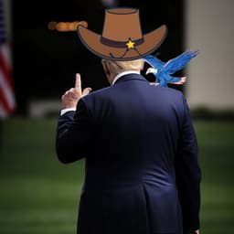 Cowboys Support The Don - Born in the USA