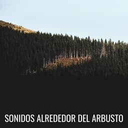 Sonidos Alrededor Del Arbusto - Sonidos y susurros de la naturaleza