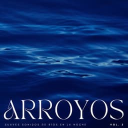 Arroyos: Suaves Sonidos De Ríos En La Noche Vol. 2 - Los durmientes de agua
