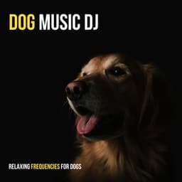 Relaxing Frequencies For Dogs - Meditation Healing Therapy