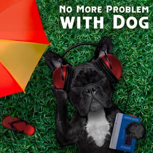 No More Problem with Dog: Calming Dogs Therapy Music while You Are Out - Pet Relax Academy