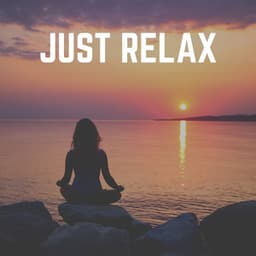 Just Relax - Relaxing Spa Music